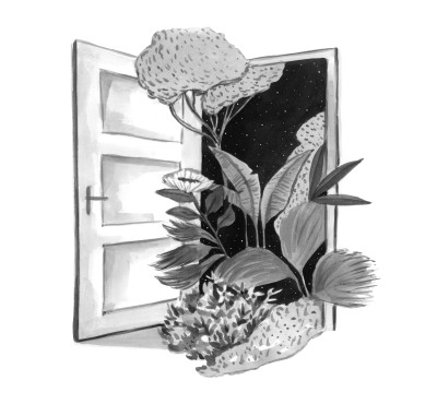 Black and white illustrated picture: plants are growing inside fropm an open door.